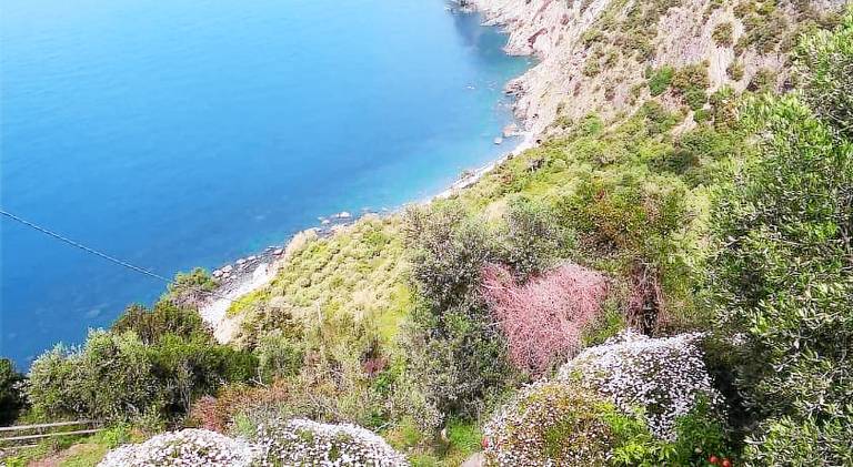 La Ginestra — photo 5