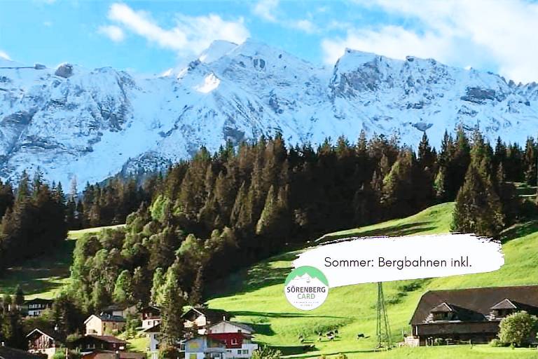 Ferienwohnung  Meiringen