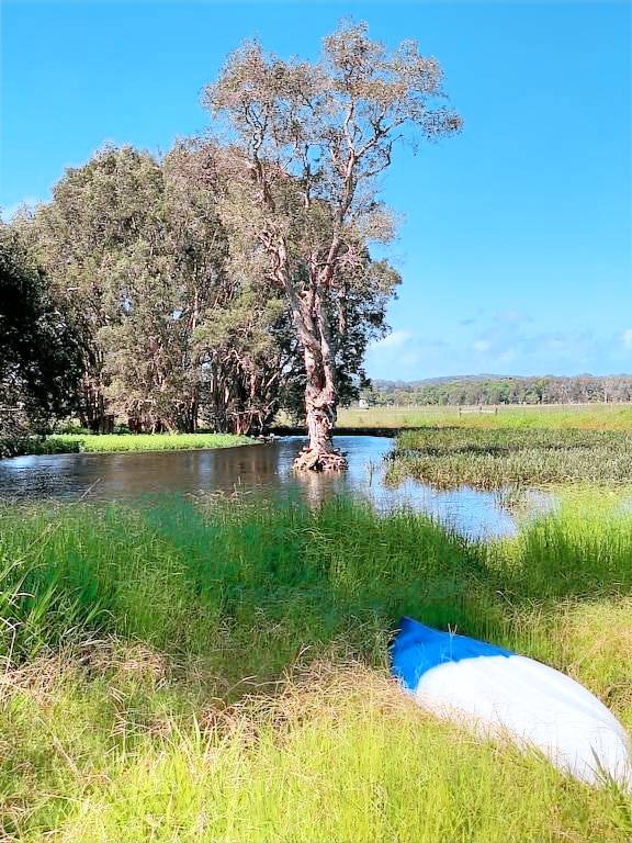Apartment Bellingen