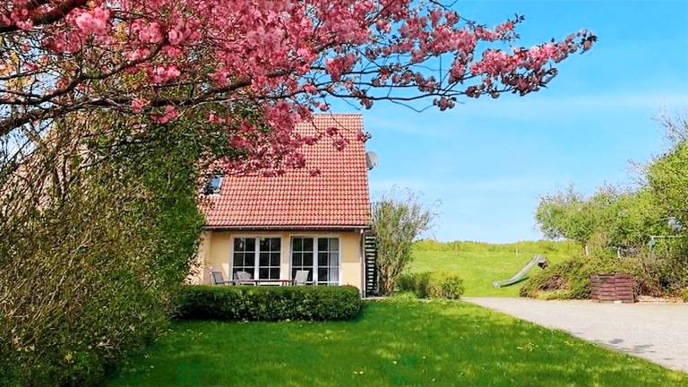 Ferienwohnung  Lohme