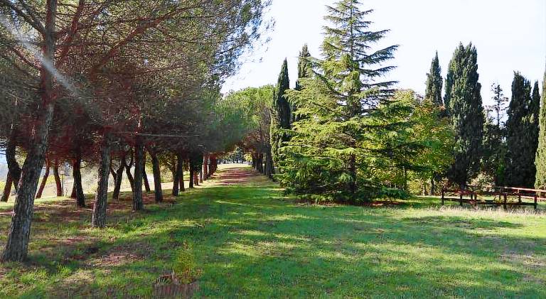 Nice farm with garden, pool & sauna | Pets allowed in Città di Castello