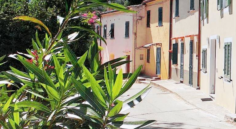 Vacation home with 2 rooms for 5 persons — photo 4