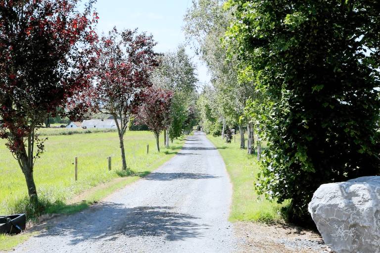Farmhouse  Carrig More