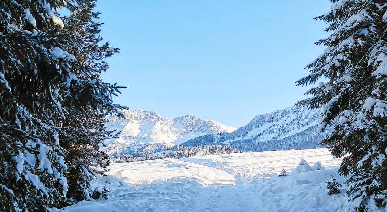 Appartamento Ziano di Fiemme