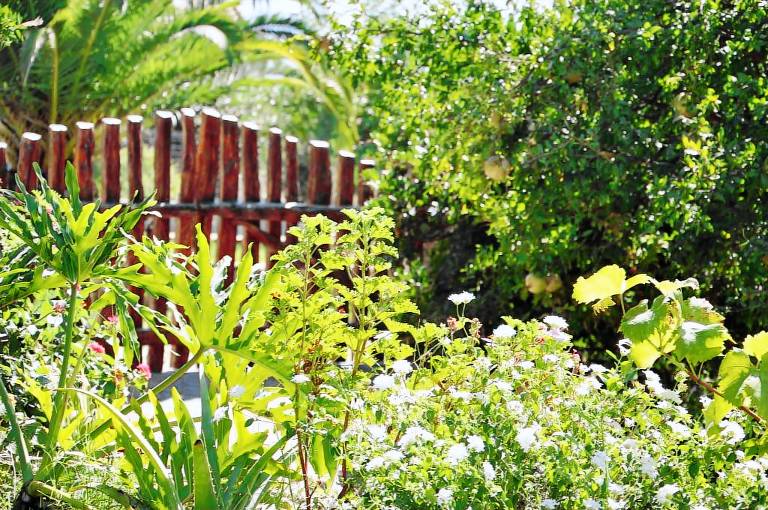 Family-friendly beautiful apartment with barbecue & yard | Garden view | Pet-friendly — photo 5