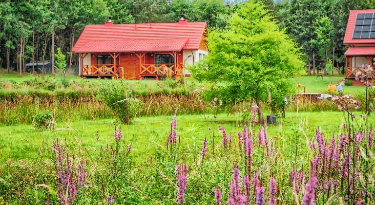 Lodge with terrace & yard | Pets allowed in Olsztyn