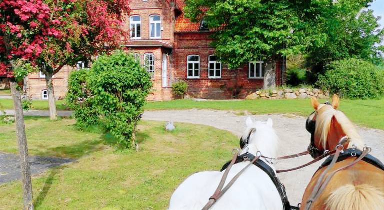 Beautiful holiday apartment | Pet-friendly in Wismar