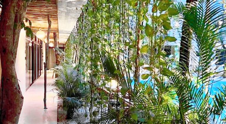 Jungle View 2bed 2bath Condo/ Wi-Fi/ Pool/ Gym — photo 5