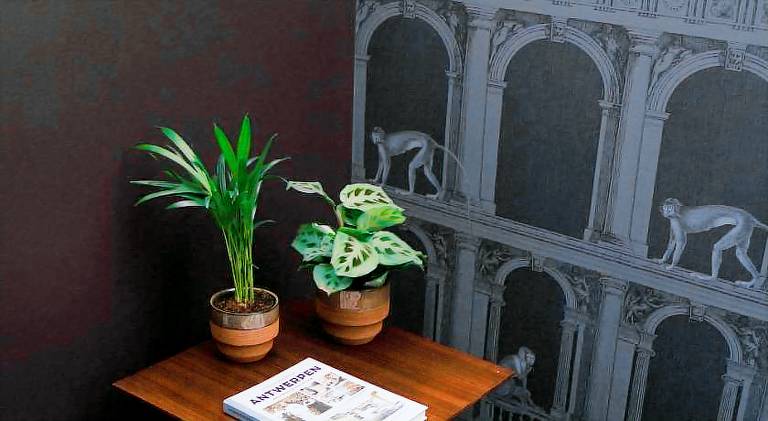 A Place Antwerp - Boutique Suites & Flats - Schuttershofstraat 55 — photo 3