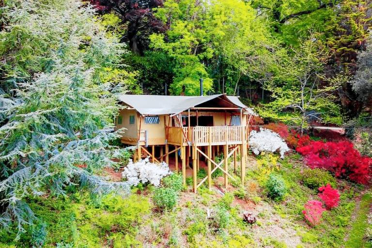 Cabin  Kingsbridge