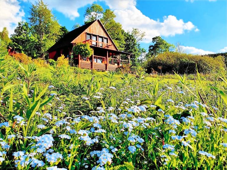 Domek w stylu alpejskim  Karpniki