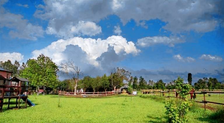 Farm with yard | Pets allowed — photo 3