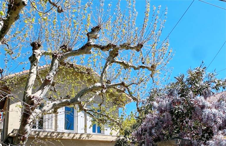 Maison de vacances Les Goudes