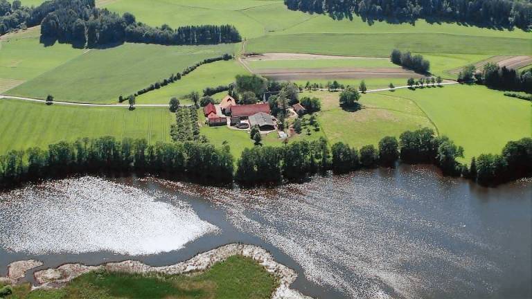 Ferienwohnung Weingarten