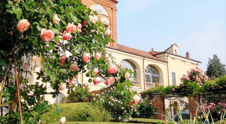 House with 2 rooms for 5 persons in Casale Monferrato