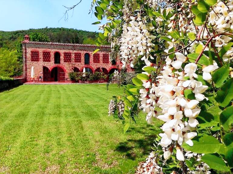 Tenuta Lupinari: La Torre — photo 4