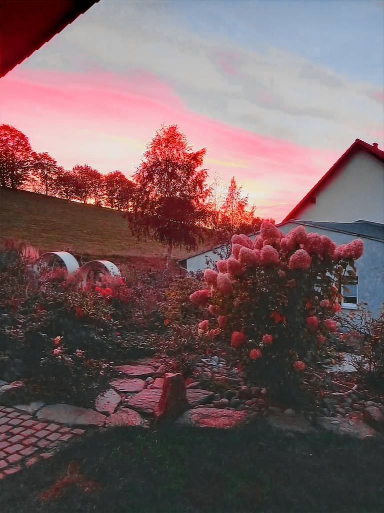foto2