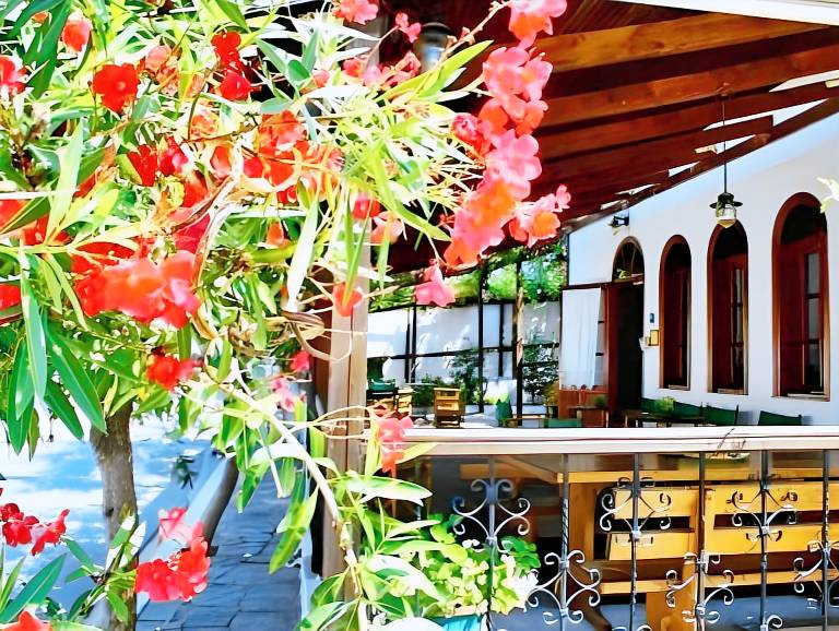 Hotel Theopisti in Aristotelis
