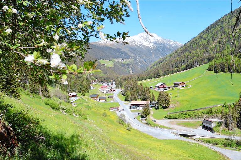 Gasthof Waldesruh — photo 5