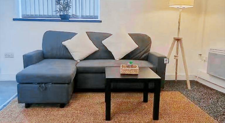 Rental apartment | Near Cardiff Castle | Pets are welcome in Cardiff