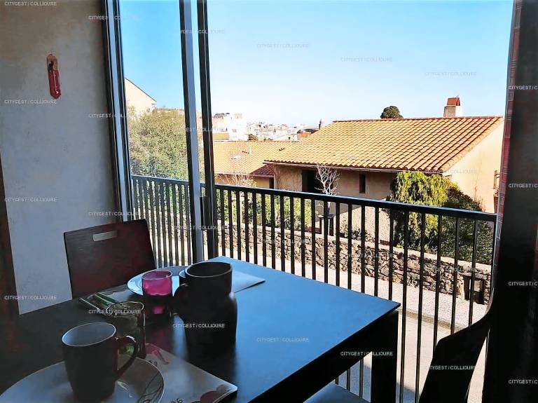 Rental apartment with terrace in Collioure
