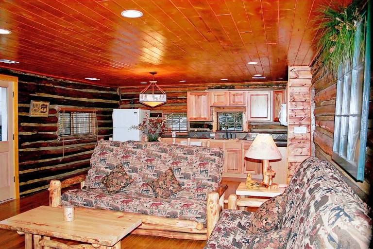 Cabin with terrace & private pool — photo 2