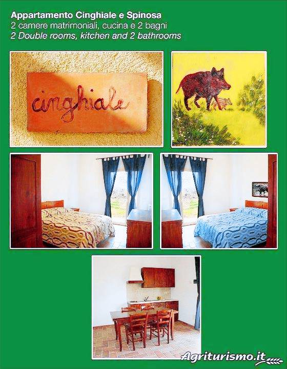 Agriturismo Fontelisa: Appartamento "Il Cinghiale" — photo 3