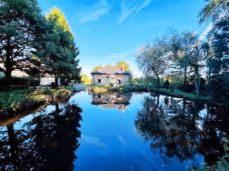 Cottage Witheridge
