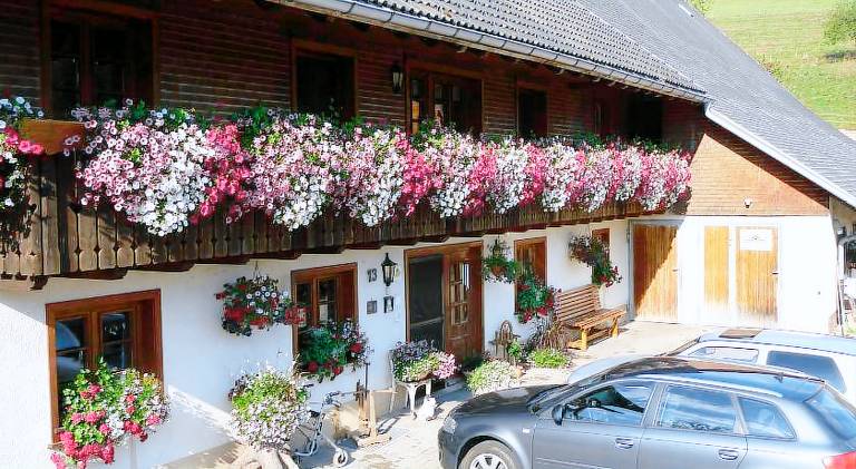 Bauernhof Breitnau