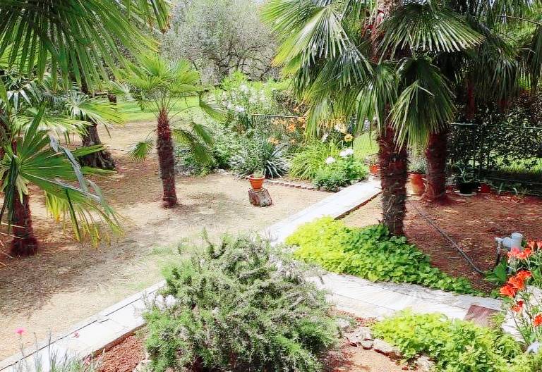 Wonderful rental apartment with garden, grill & patio | Close to the beach | Dogs allowed — photo 2