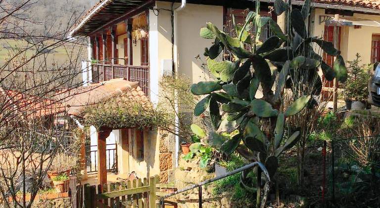 Casa Cardés