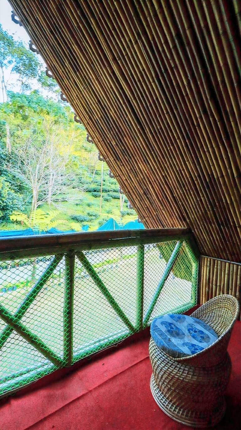 House with pool, barbeque & garden | Suitable for remote work | Dogs allowed — photo 3