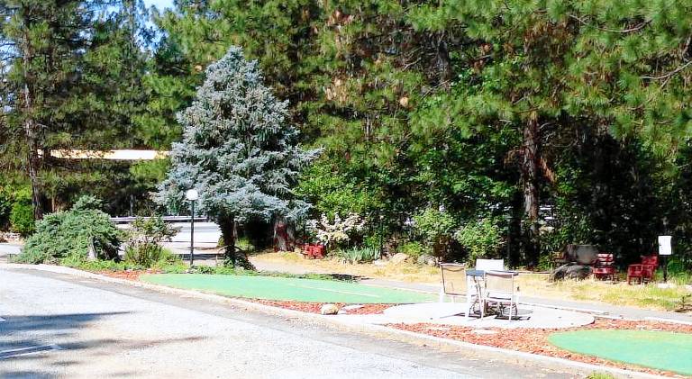 Golden Chain Motel — photo 3