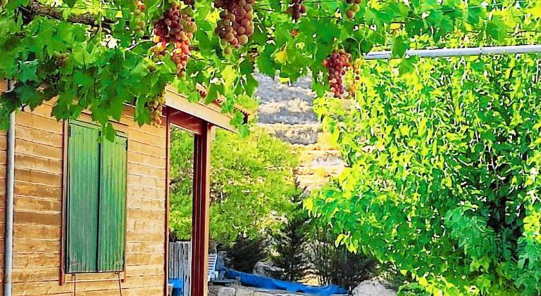 Charming villa with pool | Pet-friendly in Limassol
