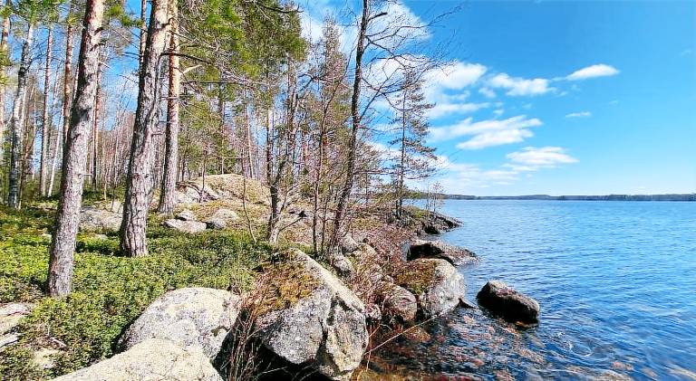 Lammassaari — photo 3