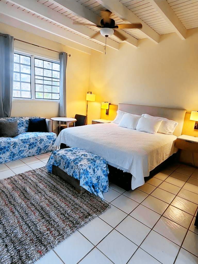 Scenic Hilltop Paradise Villa King Deluxe Ocean View