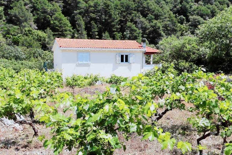 Apartament Trstenik