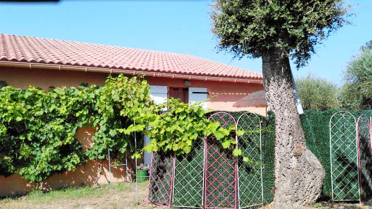 Appartement Aléria