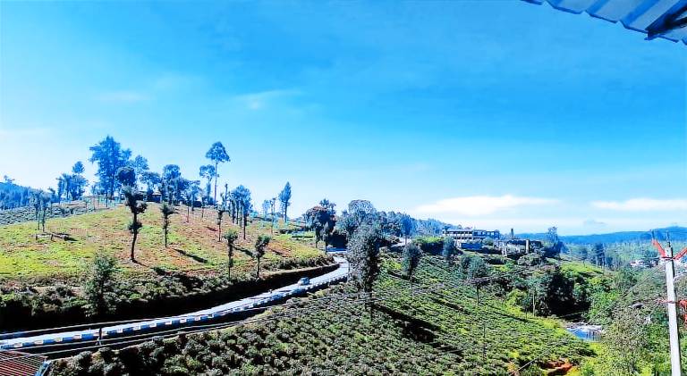 Bed and breakfast Valparai