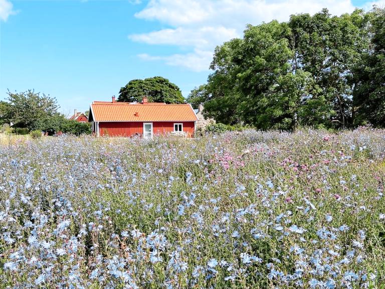 Vacation home with yard & BBQ | Pet-friendly — photo 2