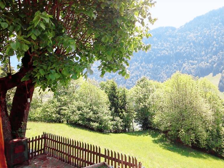 Apartment Rossinière