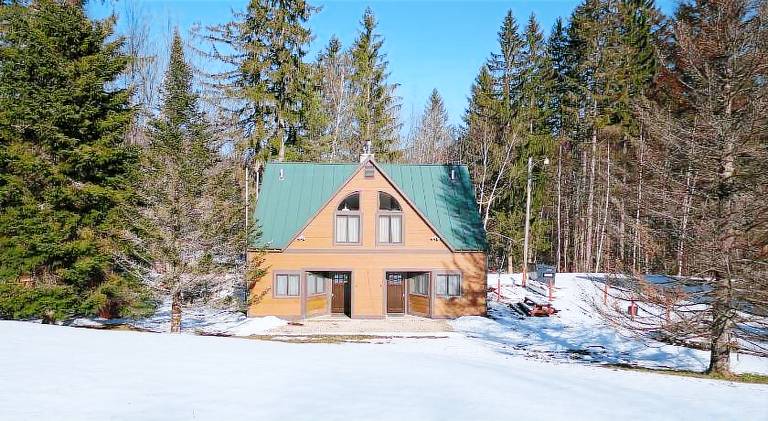Big house with pool & sauna | Pets allowed in Killington, VT