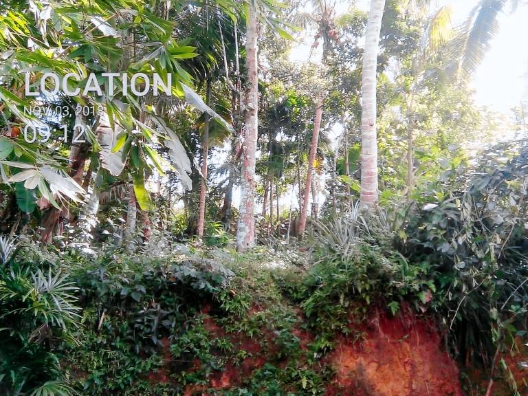 Nice vacation home | Perfect for remote work | Pet-friendly — photo 3