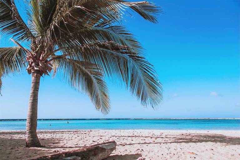Condominio Palm Beach