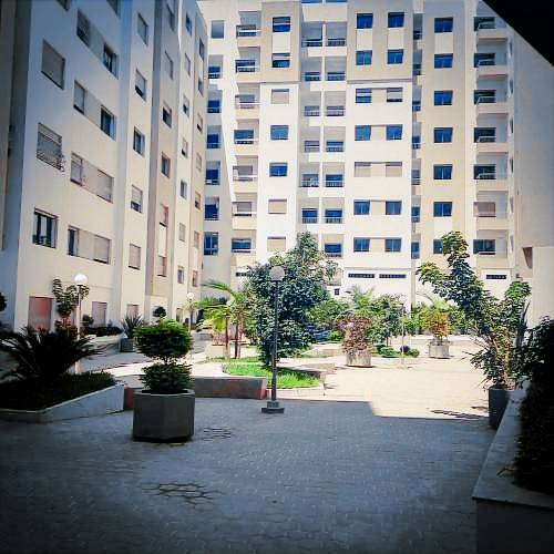 foto2