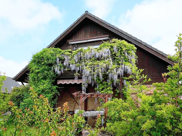 Appartement Elmenhorst