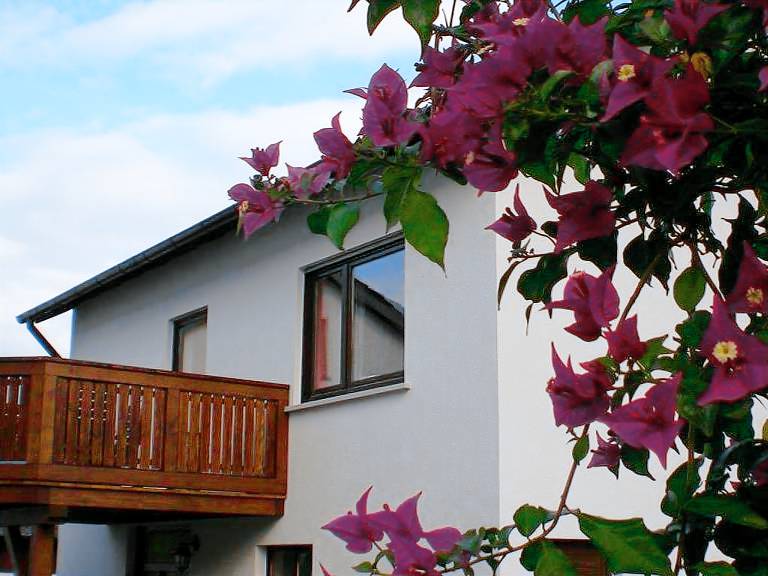 Ferienhaus Wüstensachsen