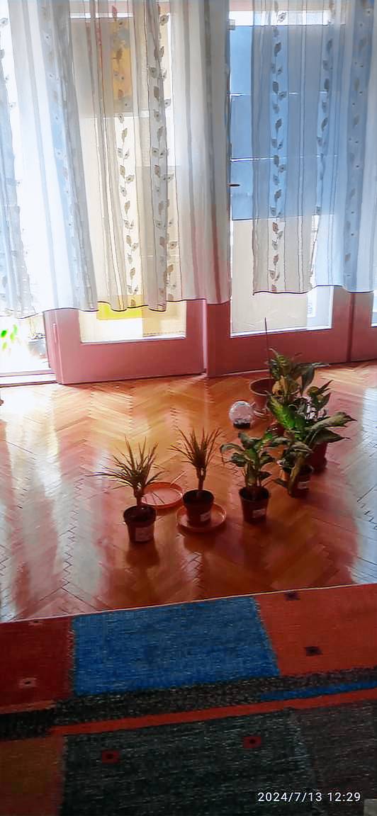 foto2