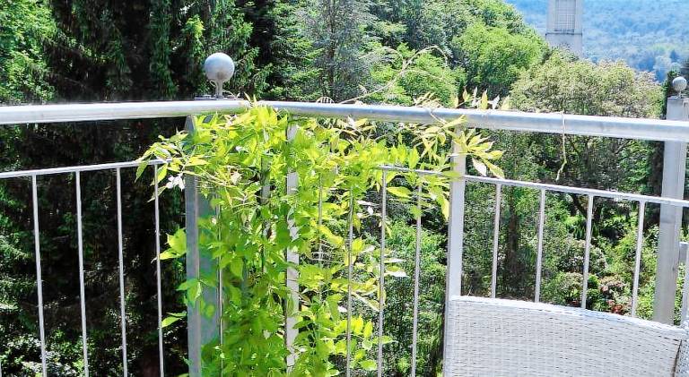 Pleasant holiday apartment with patio & garden | Pet-friendly in Baden-Baden