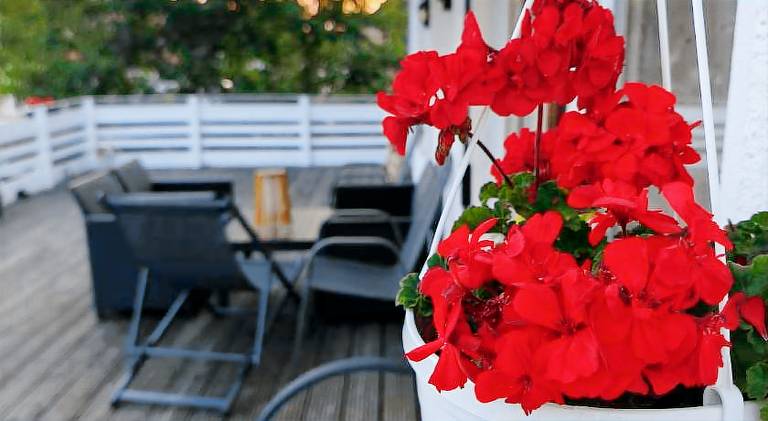 Holiday apartment with 2 rooms for 6 persons in Bad Harzburg